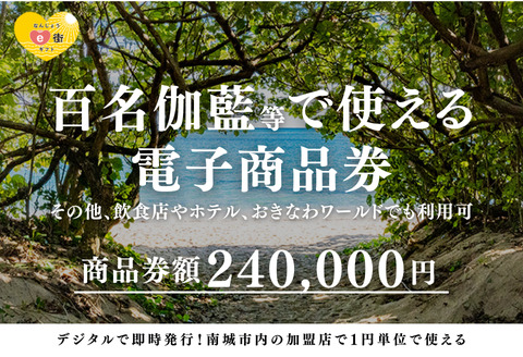 【ANAの旅先納税】電子商品券 なんじょうe街ギフト（240,000円分） 240,000円分