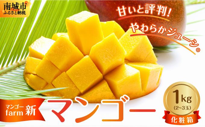 (2026年発送・先行予約)【マンゴーfarm新】 沖縄県南城市産マンゴー化粧箱1kg 化粧箱1kg（2~3玉）