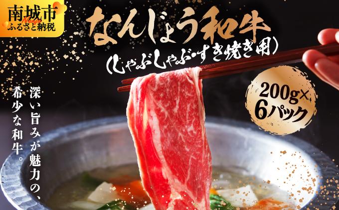 《極上の味わい》和牛しゃぶしゃぶ用 200g×6パック 合計1200g なんじょう和牛|黒毛和牛 しゃぶしゃぶ 牛肉 沖縄県 南城市 送料無料【TM0103】 1.2kg(200g×6パック)