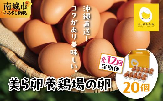 卵の黄身が掴めるほどの新鮮さ 美ら卵養鶏場の卵 20個【12ヶ月定期便】 20個【12ヶ月定期便】