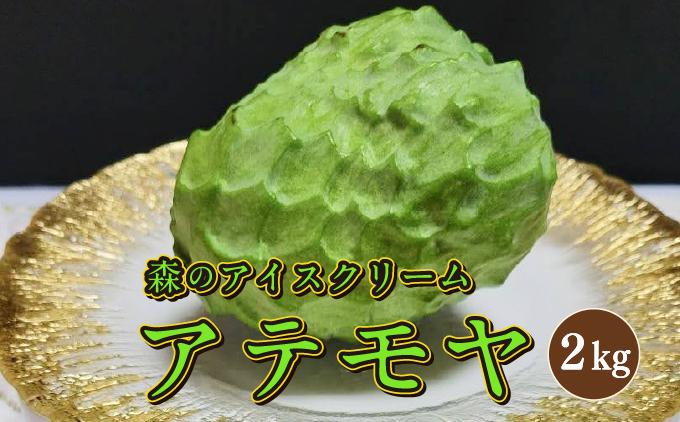 ＜先行受付＞【数量限定】南城市で育った森のアイスクリーム：アテモヤ（２kg箱詰め）   I  アイスクリーム デザート 2000g ２kg  沖縄県 南城市