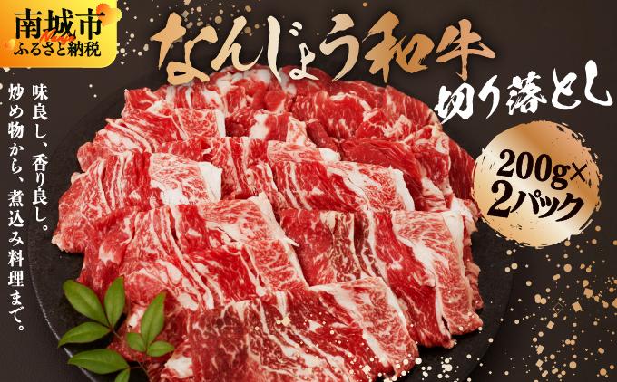 《使い勝手抜群!!》 和牛切り落とし 200g×2パック なんじょう和牛 合計400g |黒毛和牛 和牛 切り落とし モモ ウデ バラ 沖縄県 南城市 牛肉【TM03】 400g(200g×2パック)