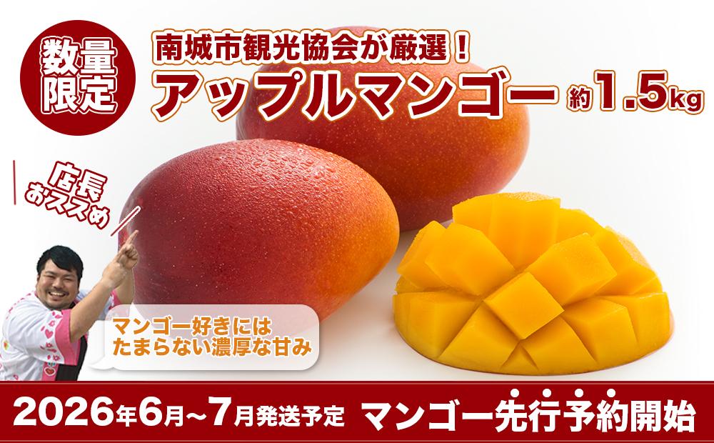 【2026年発送・先行予約】南城市観光協会が厳選！プレミアムアップルマンゴー約1.5kg