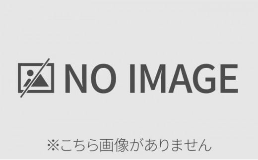 うちなあ家 昔ながらの沖縄そば 細麺 三枚肉 4食入り 三枚肉そば 4食