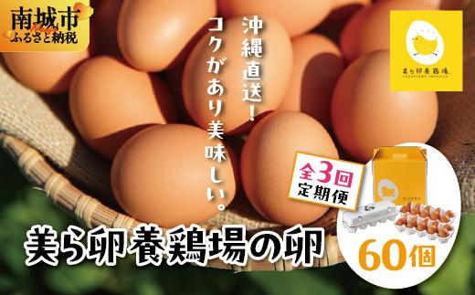 卵の黄身が掴めるほどの新鮮さ 美ら卵養鶏場の卵 60個【3ヶ月定期便】 60個【3ヶ月定期便】