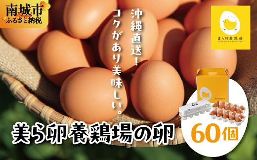 卵の黄身が掴めるほどの新鮮さ 美ら卵養鶏場の卵 60個【順次配送】 60個【順次配送】