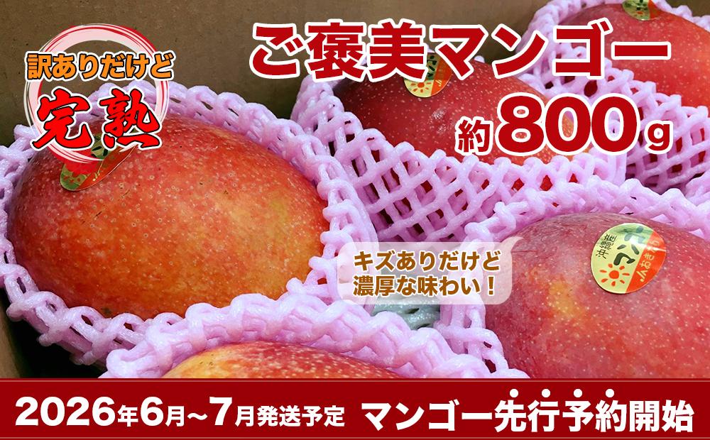 【2026年発送・先行予約】自分へのご褒美アップルマンゴー　約800g