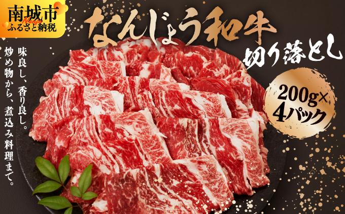 《使い勝手抜群!!》 和牛切り落とし 200g×4パック なんじょう和牛 合計400g |黒毛和牛 和牛 切り落とし モモ ウデ バラ 沖縄県 南城市 牛肉【TM0302】 800g(200g×4パック)