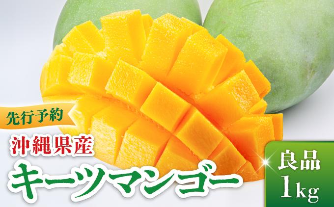 ＜先行予約・数量限定＞キーツマンゴー 良品（1kg）KM007 良品（1kg）