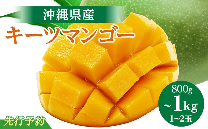(先行受付)【2026年発送】キーツマンゴー 南城市 約800g～1kg（1～2玉） 約800g～1kg（1～2玉）