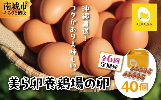 卵の黄身が掴めるほどの新鮮さ 美ら卵養鶏場の卵 40個【6ヶ月定期便】 40個【6ヶ月定期便】
