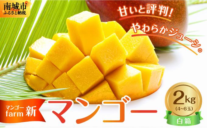 (2026年発送・先行予約)【マンゴーfarm新】 沖縄県南城市産マンゴー白箱2kg 白箱2kg（4~6玉）