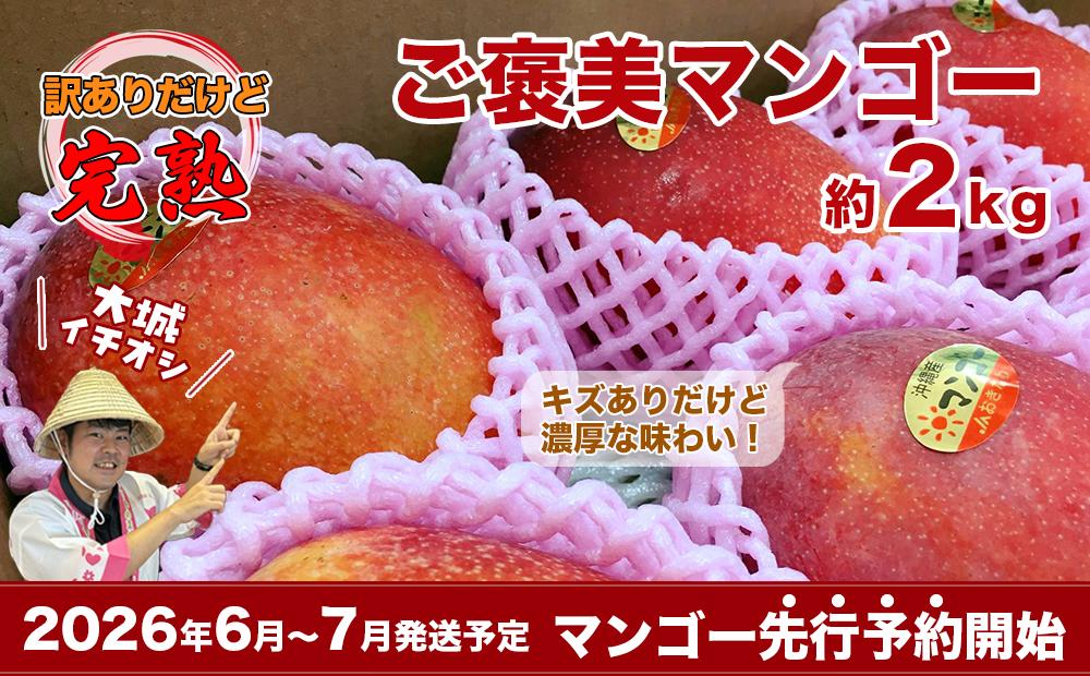 【2026年発送・先行予約】ご家庭用ご褒美アップルマンゴー　2kg