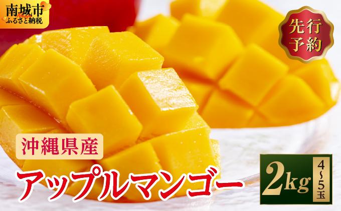 (先行受付)【2026年発送】アップルマンゴー 南城市 約2kg (4～5玉) 約2kg (4～5玉)