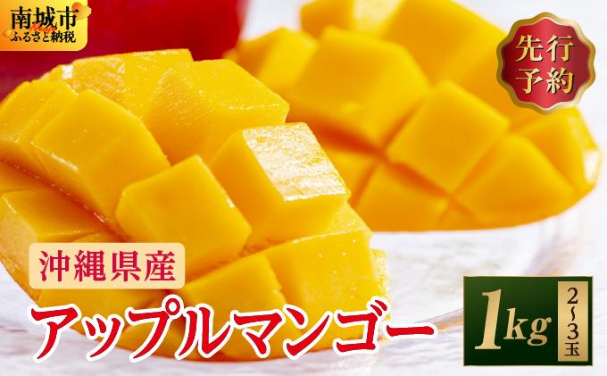 (先行受付)【2026年発送】アップルマンゴー 南城市 約1kg (2～3玉) 約1kg (2～3玉)