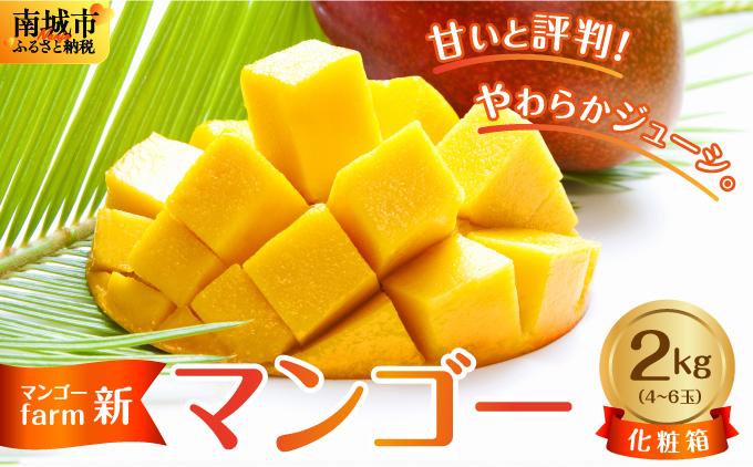 (2026年発送・先行予約)【マンゴーfarm新】 沖縄県南城市産マンゴー化粧箱2kg 化粧箱2kg（4~6玉）