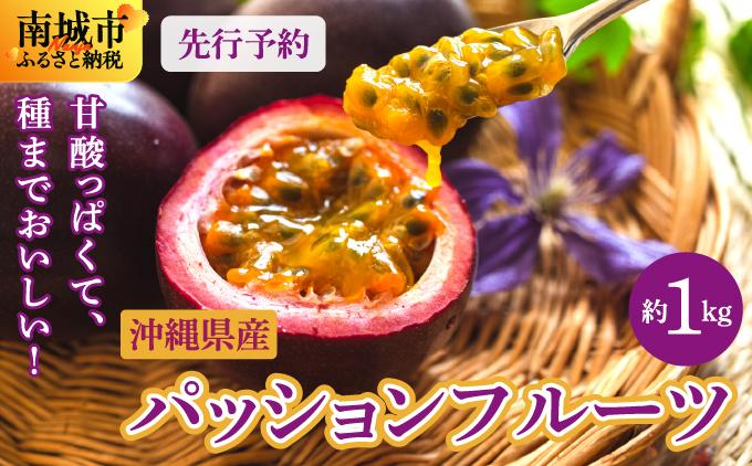 【先行予約】2026年5～6月発送　南城市産パッションフルーツ　約1kg