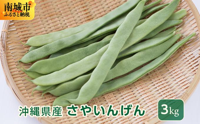 【先行予約】サヤインゲン（ビックリジャンボ）3kg 3kg