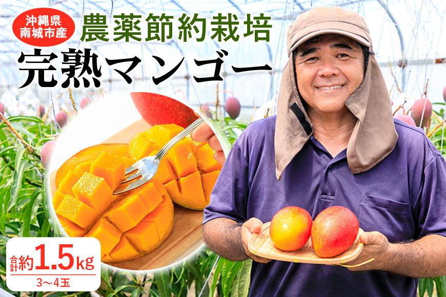 2024年発送】沖縄県南城市産「完熟マンゴー」約1kg（2～3玉）◇ギフト／家庭用◇ 農家直送 農薬節約栽培: 南城市ANAのふるさと納税