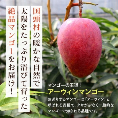 【2026年6月から順次発送】秀品アーウィンマンゴー1kg(2～3玉)【配送不可地域：離島】