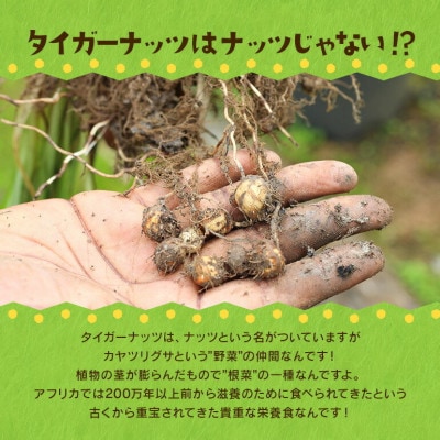 タイガーナッツ グラノーラ(カカオ＆バナナ) 5袋