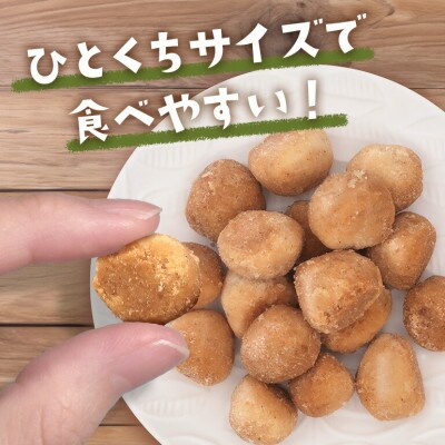 グルテンフリー クッキー プレーン味 国産タイガーナッツ 120g×10個 ちんすこう