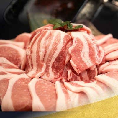 【ふるさと納税限定】くんじゃん豚 焼肉セット1.6kg(バラ・ロース)【配送不可地域：離島】