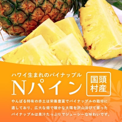 【2026年7月から順次発送】パイナップルの王道 Nパイン4玉【配送不可地域：離島】