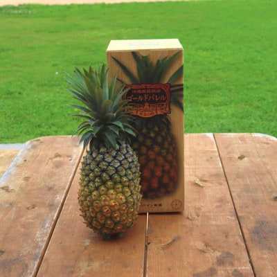 【2026年5月から順次発送・ハウス栽培】パイナップルの王様 ゴールドバレル1玉【配送不可地域：離島】