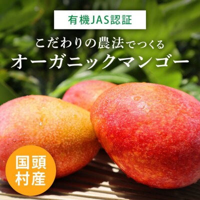 【2026年7月上旬から順次発送・有機JAS認証】オーガニックマンゴー2kg(4～5玉)【配送不可地域：離島】