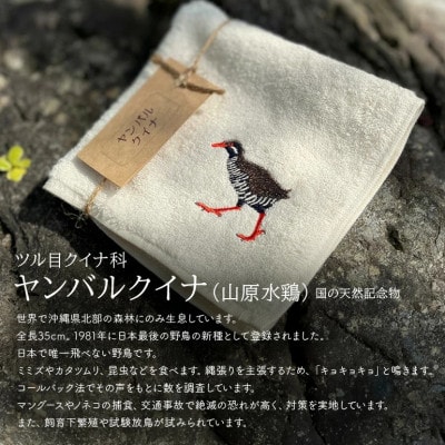 地域の自然を守るタオル やんばるの海と森を想う 3枚セット