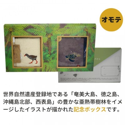 世界自然遺産 記念BOX 地域の自然を守るタオル 2枚セット