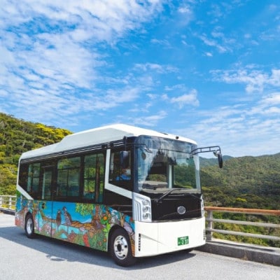 【1ヶ月前予約必須】やんばるの森ネイチャーガイドEVバスツアー 午前コース 貸切(最大16名乗車可能