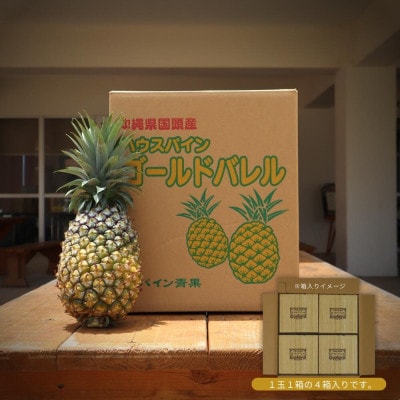 【2026年5月から順次発送・ハウス栽培】パイナップルの王様 ゴールドバレル4玉【配送不可地域：離島】