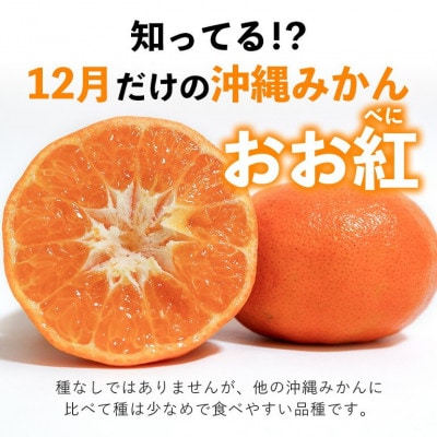【2025年12月頃から順次発送】やんばる国頭村産の島みかん おお紅 3kg