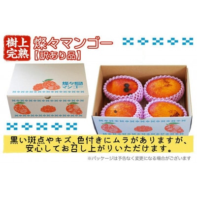 【2025年発送・訳あり】燦々マンゴー1.5kg(3～6玉)【配送不可地域：離島】 1.5㎏（3～6玉）