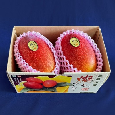 【2025年発送・優品】燦々マンゴー1.0kg(2～3玉)【配送不可地域：離島】