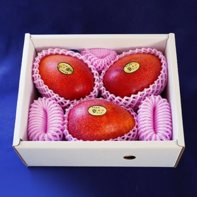 【2025年発送・優品】燦々マンゴー1.5kg(3～6玉)【配送不可地域：離島】