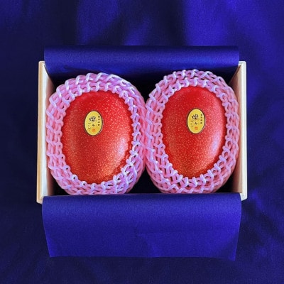 【2026年7月から順次発送・最高級ランク極】燦々マンゴー900g(2玉)【配送不可地域：離島】