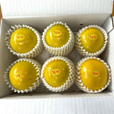 【2025年12月から順次発送】国頭村産パッションフルーツ イエロークイーン 1kg(5～7玉)