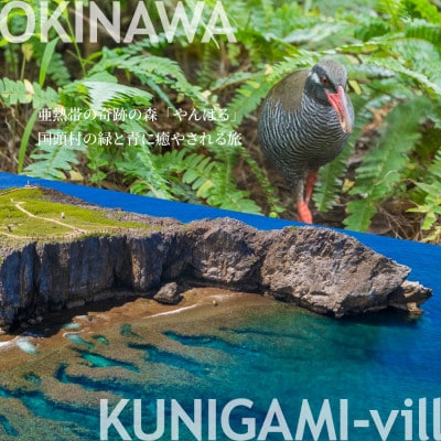 沖縄ツアー 沖縄本島最北やんばる国頭村 後から選べるWebカタログ旅行クーポン(90,000円分)