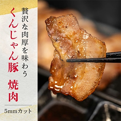 【ビール特産品セット】オリオン ザ・ドラフト＆くんじゃん豚の焼肉【複数個口で配送】【配送不可地域：離島】
