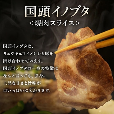 【ビール特産品セット】オリオン ザ・ドラフト12本＆旨み凝縮!国頭イノブタ【複数個口で配送】【配送不可地域：離島】