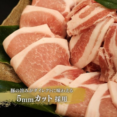 【毎月定期便】くんじゃん豚 焼肉セット(バラ・ロース)計4.8kg全3回【配送不可地域：離島】