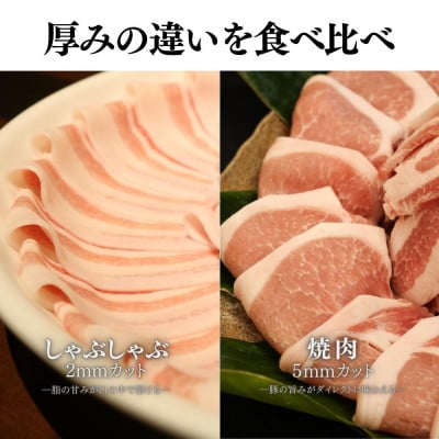 【毎月定期便】くんじゃん豚 食べ比べセット 焼肉・しゃぶしゃぶ 計19.2kg全6回【配送不可地域：離島】