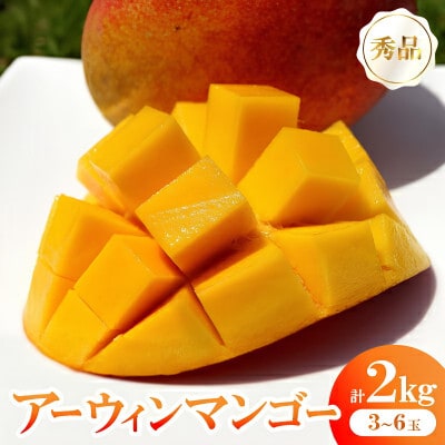 【発送月固定定期便】沖縄2大フルーツセット アップルマンゴー＆パイナップル全2回【配送不可地域：離島】