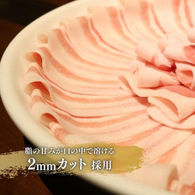 【毎月定期便】【ふるさと納税限定】くんじゃん豚 食べ比べ定期便 総9.6kg全6回【配送不可地域：離島】