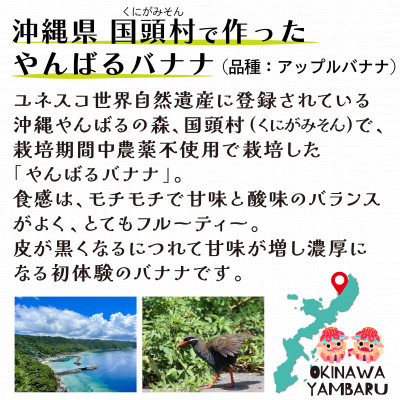 【栽培期間中農薬不使用】やんばるバナナ1.5kg(7～20本)