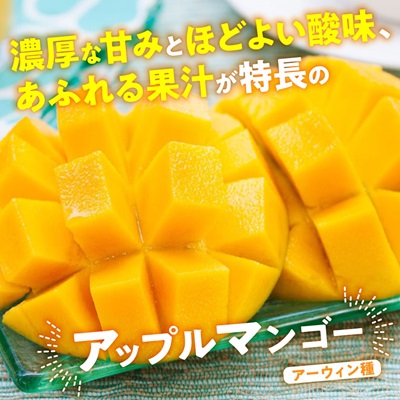 【2026年7月から順次発送・訳あり】燦々マンゴー2.4kg(4～6玉)【配送不可地域：離島】 2.4㎏（4～6玉）