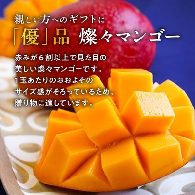 【2026年7月から順次発送・優品】燦々マンゴー1.0kg(2～3玉)【配送不可地域：離島】